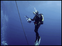 dive to depth with bsac diving